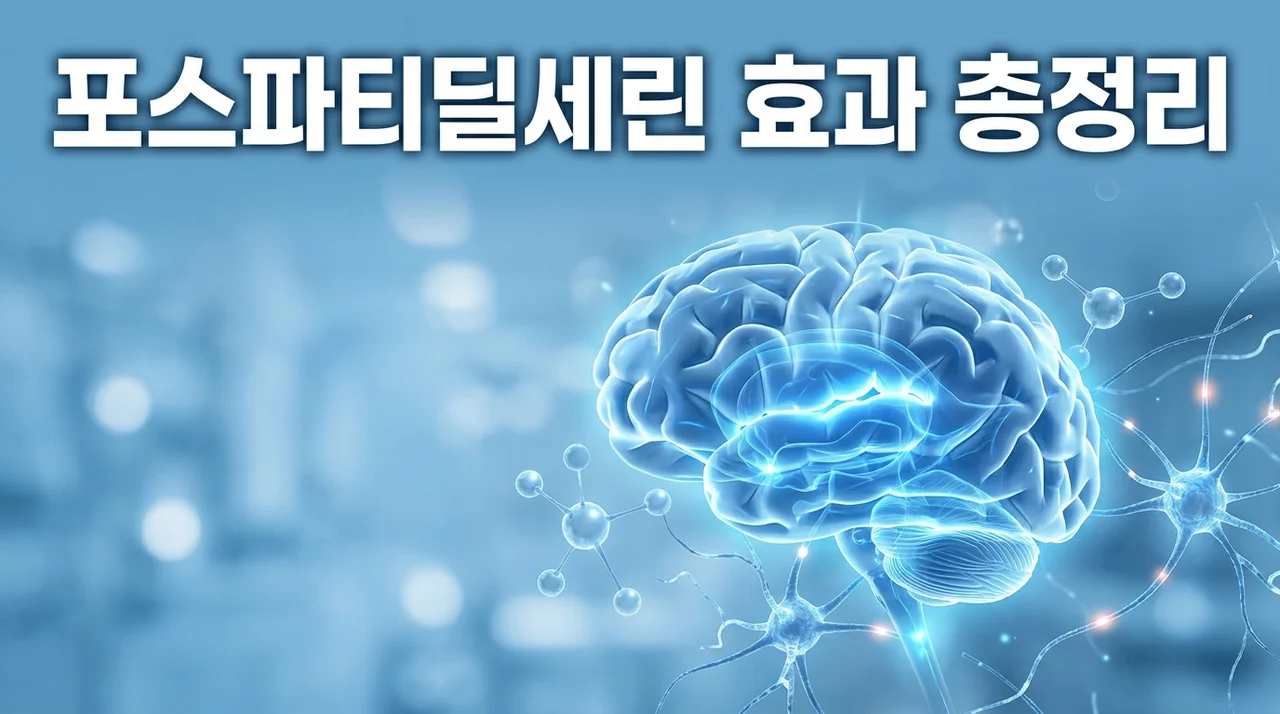 포스파티딜세린 효과 있을까? 기억력 집중력 영양제 고르는 법 총정리