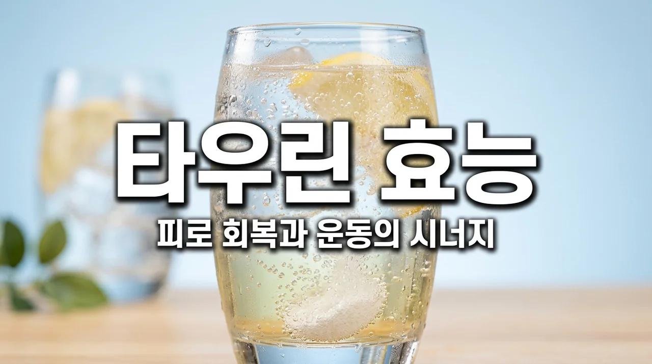타우린 효능 무엇일까? 피로 회복과 운동 목적별 차이 완벽 정리