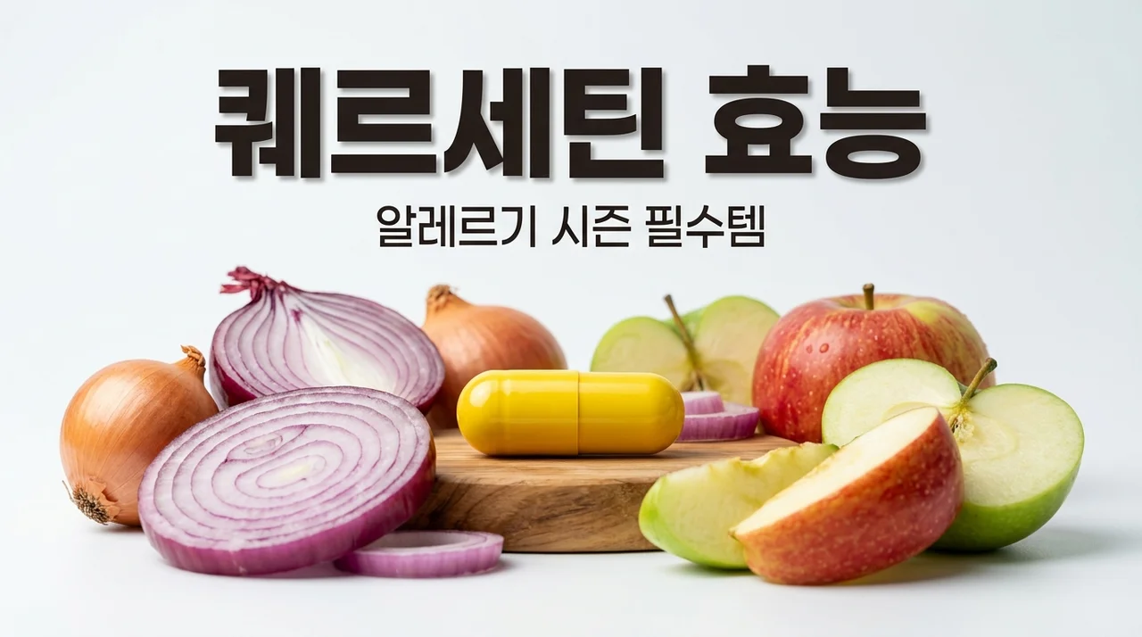 퀘르세틴 효능 있을까? 알레르기 비염 시즌 필수 영양제 총정리