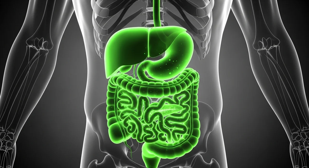 왜 이 성분인가? LACTO-5X의 작용 원리