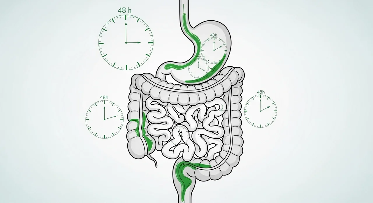 왜 48시간일까? 단기 클렌즈의 원리
